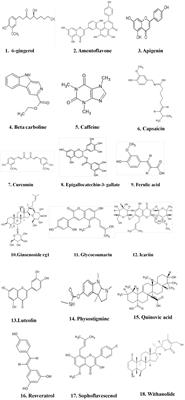 Inhibition of phosphodiesterase: A novel therapeutic target for the treatment of mild cognitive impairment and Alzheimer’s disease
